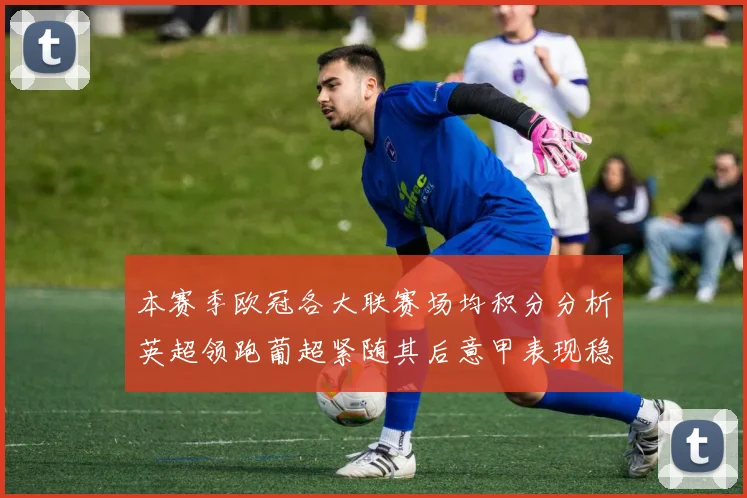 本赛季欧冠各大联赛场均积分分析英超领跑葡超紧随其后意甲表现稳健