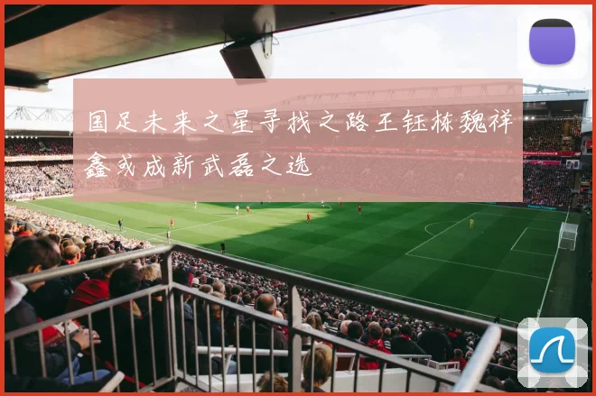 国足未来之星寻找之路王钰栋魏祥鑫或成新武磊之选
